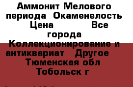 Аммонит Мелового периода. Окаменелость. › Цена ­ 2 800 - Все города Коллекционирование и антиквариат » Другое   . Тюменская обл.,Тобольск г.